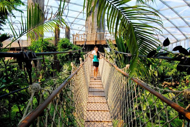 8. zoogondwanaland.jpg